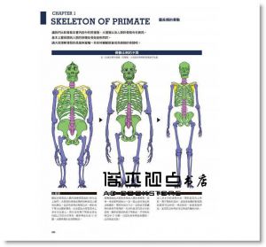 片桐裕司《動物雕塑解剖學》北星