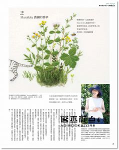 Stitch刺繡誌15：私的刺繡花房 甜美刺子繡VS復刻樣本繡