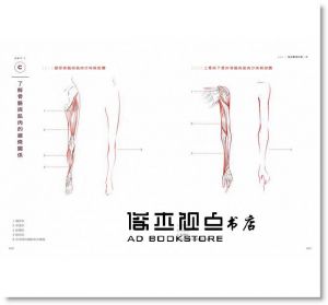 李惠菁《服裝畫練習本[暢銷改版]》麥浩斯