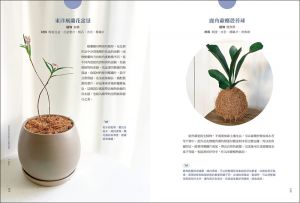 崔廷原《我的第一堂植栽組盆美學課：用最好養的「觀葉×多肉×苔蘚」植物，設計出58種改變空間氛圍的療癒系盆景》蘋果屋