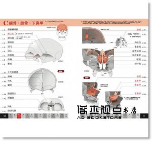 原島廣至《圖解：骨骼單字大全》楓書坊