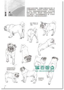 1500種動物姿勢素描圖鑑 [瑞昇]