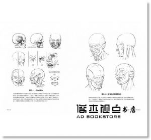 安德魯‧路米斯《肖像素描技巧指南：從構造到透視，全方位掌握頭手素描基礎，畫出三度空間感人物的五大示範課》大牌出版