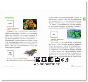 沈莉莎《24節氣‧經絡芳療自癒全書：用12經絡強效配方油與按摩手法，掌握時機調體質、養氣血》大樹林