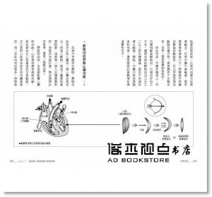 王唯工, 王晉中《以腎為基 （改版）：用現代科學看中醫腎脈，解析傳統氣功養生源流》商周