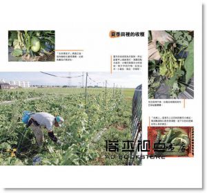西田榮喜《超人氣農特產就要這樣賣！─日本第一小農的創意經營術：從自然農法、食品加工、擺攤叫賣、在地結盟到網路社群行銷，創造富裕舒適的小農幸福人生！》常常生活文創
