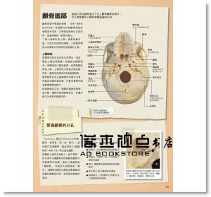 人體機能解剖全書vol.1 [楓書坊][彼得 亞伯拉罕]