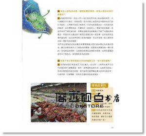慢生活工作坊<<靜靚多肉植物園>> 輕刻
