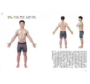 布魯斯（Bruce） 全民人體力學保健教室：1分鐘快速揪痛！解讀人體「壓力訊號」、破解「痠痛密碼」的MLS療法 方舟文化