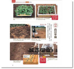 新手學種菜！62種常見蔬菜栽種攻略 [楓葉社]