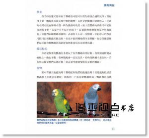 羅賓．德義智 鸚鵡飼育百科：從品種、安全、健康照護到訓練方法的全面指南！（修訂版） 晨星 