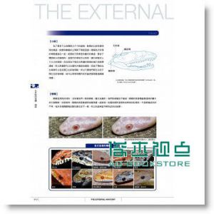玉米蛇超圖鑑：簡單了解玉米蛇的飼養要訣 [東販]
