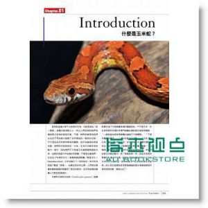 玉米蛇超圖鑑：簡單了解玉米蛇的飼養要訣 [東販]