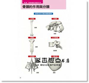 水嶋章陽《人體全解剖圖鑑：專業醫學背景下的基礎剖析，完整說明！》三悅文化