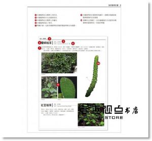 鐘詩文《台灣原生植物全圖鑑第一卷：蘇鐵科──蘭科（雙袋蘭屬）》貓頭鷹
