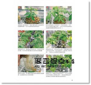 吉川泰正 《寶特瓶種植水耕蔬菜》 [康鑑]