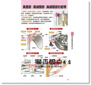 水嶋章陽《人體全解剖圖鑑：專業醫學背景下的基礎剖析，完整說明！》三悅文化