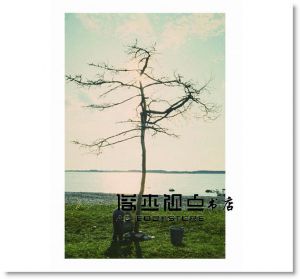 安德烈‧塔可夫斯基《雕刻時光：時間．記憶．夢境──塔可夫斯基談創作美學》漫遊者文化