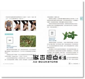 沈莉莎《24節氣‧經絡芳療自癒全書：用12經絡強效配方油與按摩手法，掌握時機調體質、養氣血》大樹林