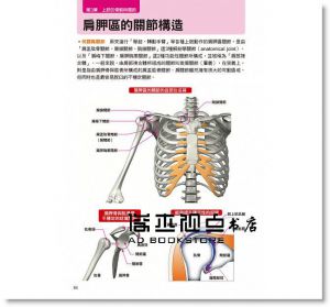 水嶋章陽《人體全解剖圖鑑：專業醫學背景下的基礎剖析，完整說明！》三悅文化