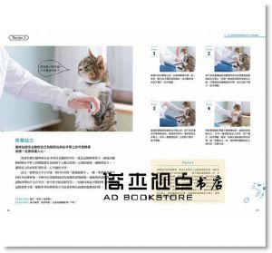 坂崎清歌, 青木愛弓《貓咪的第一本遊戲書：玩出親密與紀律！》 台灣東販