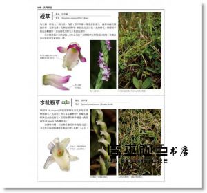 鐘詩文《台灣原生植物全圖鑑第二卷：蘭科（恩普莎蘭屬）:燈心草科》貓頭鷹