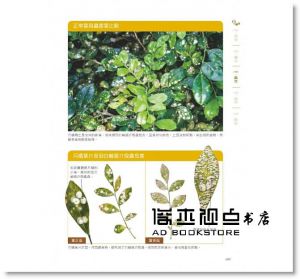 洪明毅《請問植物醫生：植物病蟲害圖鑑與防治（2024年暢銷增訂）》麥浩斯