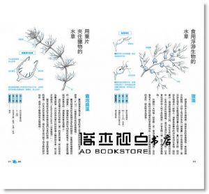 生命無奇不有！海、河、湖的怪奇生物圖鑑 東販]
