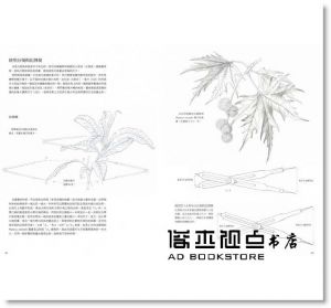 克莉絲塔貝兒‧金《植物畫的第一堂課：英國皇家植物園首席畫師教你畫》麥浩斯