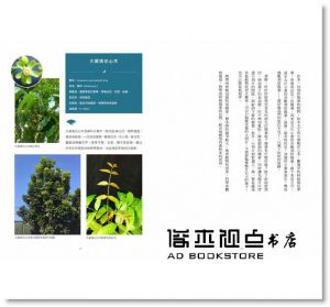 胖胖樹 王瑞閔《看不見的雨林─福爾摩沙雨林植物誌：漂洋來台的雨林植物，如何扎根台灣，建構你我的歷史文明、生活日常》麥浩斯