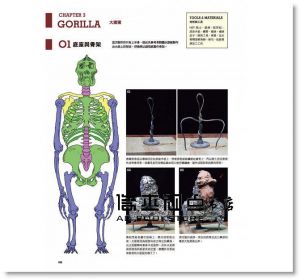 片桐裕司《動物雕塑解剖學》北星