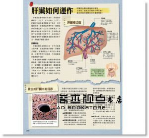 人體機能解剖全書vol.2 楓書坊]