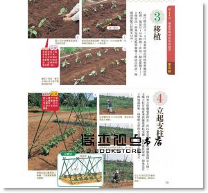 新手學種菜！62種常見蔬菜栽種攻略 [楓葉社]