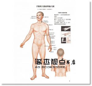 靳士英《簡明人體經絡與常用穴位圖冊》 [積木]