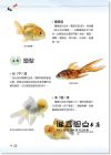 創意眼資訊《金魚事典：從認識、飼養到觀賞，寵物金魚的綺麗圖鑑》PCuSER電腦人文化