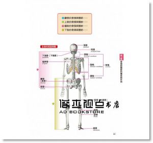 水嶋章陽《人體全解剖圖鑑：專業醫學背景下的基礎剖析，完整說明！》三悅文化