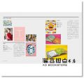 安荷拉．露易絲《雜誌設計學：風格定位、創作編輯、印刷加工、發行銷售，獨立雜誌人的夢想實踐指南》積木