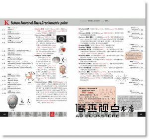 原島廣至《圖解：骨骼單字大全》楓書坊