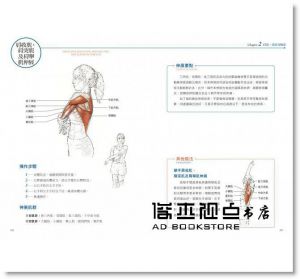 阿諾‧尼爾森, 尤卡‧寇柯寧《伸展運動解剖書》楓樹林出版社