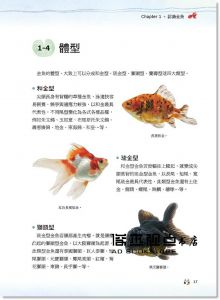 創意眼資訊《金魚事典：從認識、飼養到觀賞，寵物金魚的綺麗圖鑑》PCuSER電腦人文化