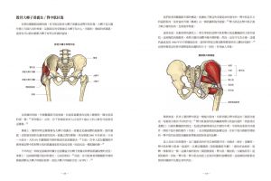 亞倫．霍什格, 凱文．桑塔納 《重訓傷害預防與修復全書：透過物理治療視角，認識肌肉骨骼功能障礙與疼痛、重建基礎肌力、提升運動表現》三采