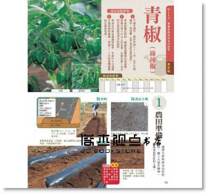 新手學種菜！62種常見蔬菜栽種攻略 [楓葉社]