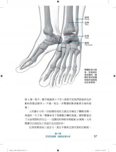 皮特．艾格司庫 身體除痛手冊：自癒止痛47招，教你擺脫12大部位慢性疼痛 台灣愛思唯爾