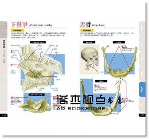 松村天裕, 竹内修《 骨骼 構造＆活動百科》楓葉社文化