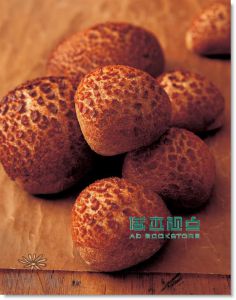 志賀勝榮  從酵母思考麵包的製作：75個關於製作麵包的為什麼？認識並應用老麵˙葡萄乾種˙天然酵母種˙啤酒花種˙酸種˙檸檬種(暢銷新版)出版菊 