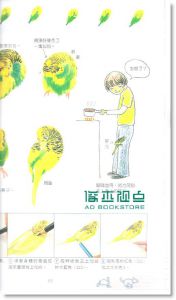 色铅笔的动物日记（畅销纪念版）