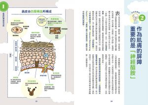 豐田雅彥 全方位無瑕美肌養護小百科：從皮膚基礎知識、疑難雜症剖析到凍齡保養一本搞定！ 台灣東販