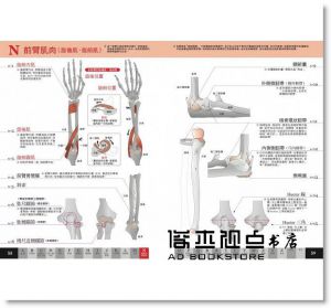 原島廣至《圖解：肌肉單字大全》楓書坊