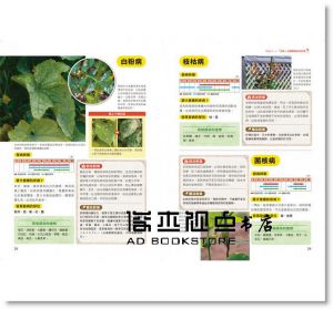 高橋孝文《500張病症實境照！植物病蟲害防治全圖鑑》 [台灣廣廈]