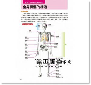 水嶋章陽《人體全解剖圖鑑：專業醫學背景下的基礎剖析，完整說明！》三悅文化